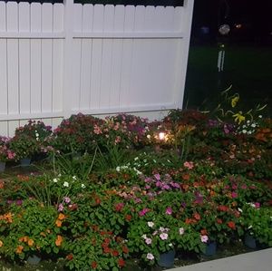 Meet your Posher, Nancy